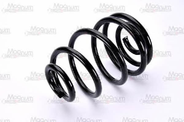 Magnum technology SX124MT Coil Spring SX124MT: Buy near me in Poland at 2407.PL - Good price!