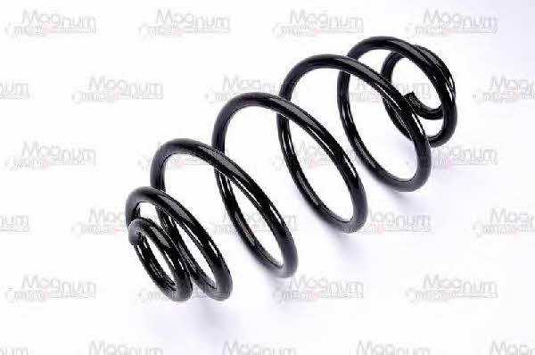 Magnum technology SX134MT Coil Spring SX134MT: Buy near me in Poland at 2407.PL - Good price!