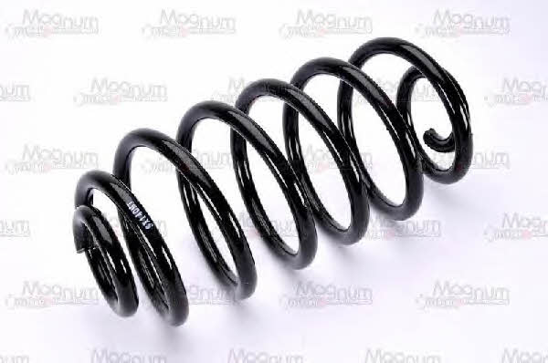 Magnum technology SX140MT Coil Spring SX140MT: Buy near me in Poland at 2407.PL - Good price!