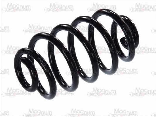 Magnum technology SX167MT Coil Spring SX167MT: Buy near me at 2407.PL in Poland at an Affordable price!