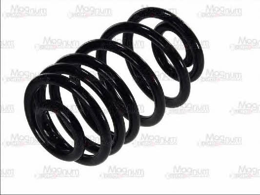 Magnum technology SX173 Coil Spring SX173: Buy near me at 2407.PL in Poland at an Affordable price!