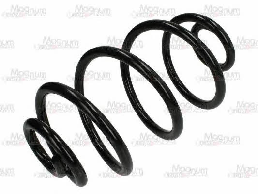 Magnum technology SX179MT Coil Spring SX179MT: Buy near me in Poland at 2407.PL - Good price!