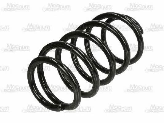 Magnum technology SX180MT Suspension spring front SX180MT: Buy near me at 2407.PL in Poland at an Affordable price!