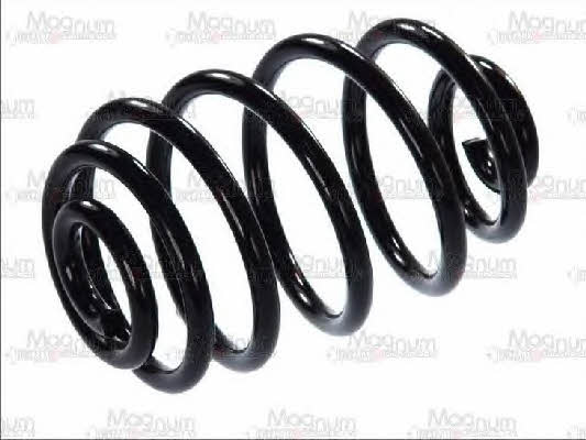 Magnum technology SZ0315MT Coil Spring SZ0315MT: Buy near me in Poland at 2407.PL - Good price!