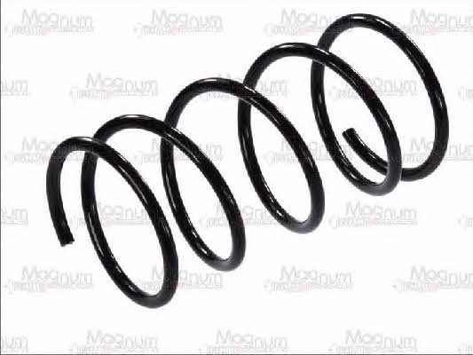 Magnum technology SZ1044MT Coil Spring SZ1044MT: Buy near me at 2407.PL in Poland at an Affordable price!