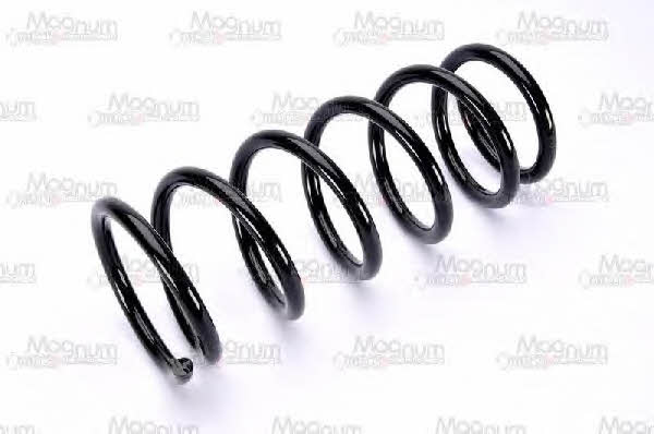 Magnum technology SZ1077MT Coil Spring SZ1077MT: Buy near me in Poland at 2407.PL - Good price!