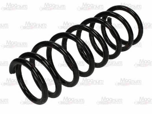 Magnum technology SZ8000MT Coil Spring SZ8000MT: Buy near me in Poland at 2407.PL - Good price!
