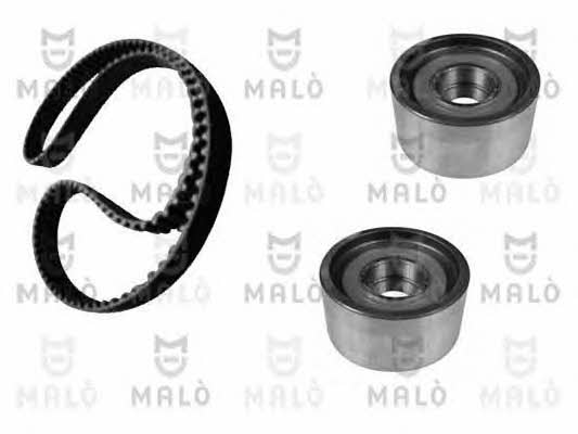 Malo T153002S Timing Belt Kit T153002S: Buy near me in Poland at 2407.PL - Good price!