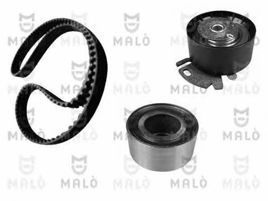 Malo T158254S Timing Belt Kit T158254S: Buy near me in Poland at 2407.PL - Good price!