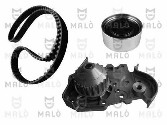 Malo W095170S TIMING BELT KIT WITH WATER PUMP W095170S: Buy near me in Poland at 2407.PL - Good price!