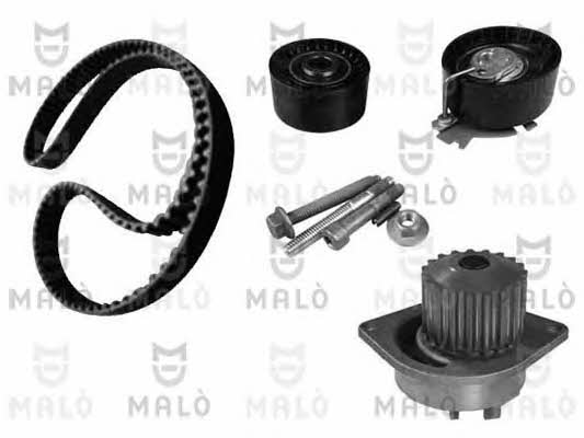 Malo W134254S TIMING BELT KIT WITH WATER PUMP W134254S: Buy near me in Poland at 2407.PL - Good price!