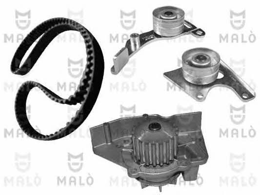 Malo W136254S TIMING BELT KIT WITH WATER PUMP W136254S: Buy near me in Poland at 2407.PL - Good price!