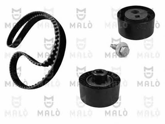 Malo T1144254S Timing Belt Kit T1144254S: Buy near me in Poland at 2407.PL - Good price!