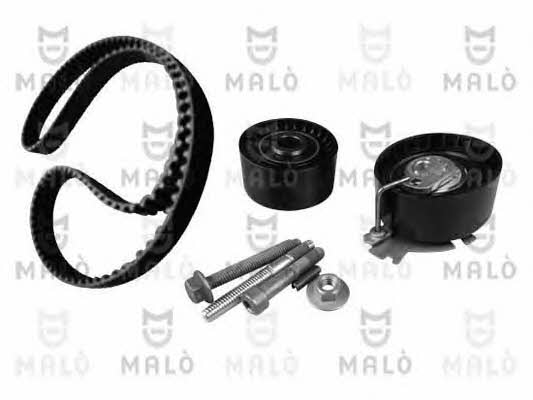 Malo T134254S Timing Belt Kit T134254S: Buy near me in Poland at 2407.PL - Good price!
