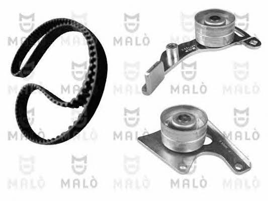 Malo T136254S Timing Belt Kit T136254S: Buy near me in Poland at 2407.PL - Good price!