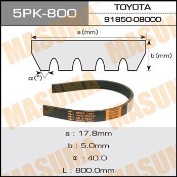 Masuma 5PK-800 V-ribbed belt 5PK800 5PK800: Buy near me in Poland at 2407.PL - Good price!