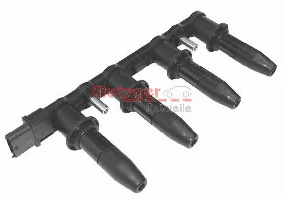 Metzger 0880012 Ignition coil 0880012: Buy near me in Poland at 2407.PL - Good price!