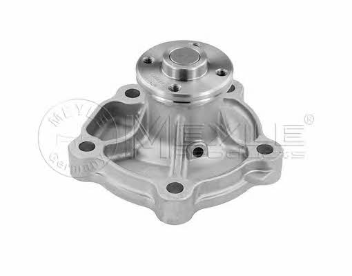 Meyle 33-13 220 0004 Water pump 33132200004: Buy near me in Poland at 2407.PL - Good price!