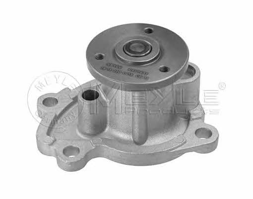Meyle 36-13 220 0013 Water pump 36132200013: Buy near me in Poland at 2407.PL - Good price!