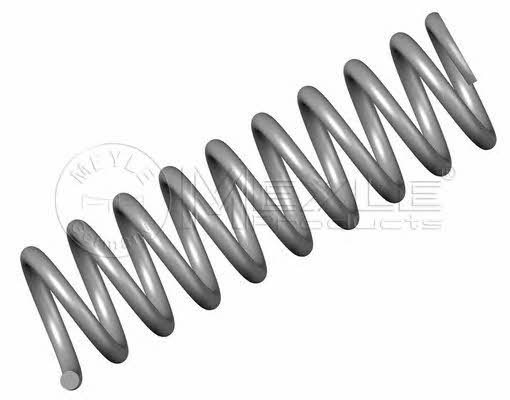 Meyle 014 032 0482 Coil Spring 0140320482: Buy near me in Poland at 2407.PL - Good price!