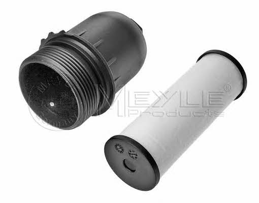 Meyle 1 001 371 004 Automatic transmission filter 1001371004: Buy near me at 2407.PL in Poland at an Affordable price!