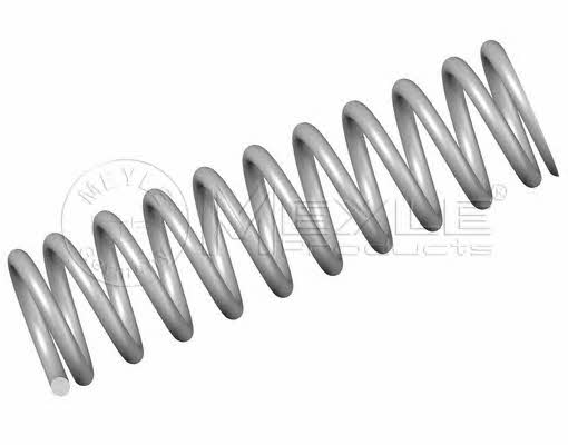 Meyle 014 639 0021 Suspension spring front 0146390021: Buy near me in Poland at 2407.PL - Good price!