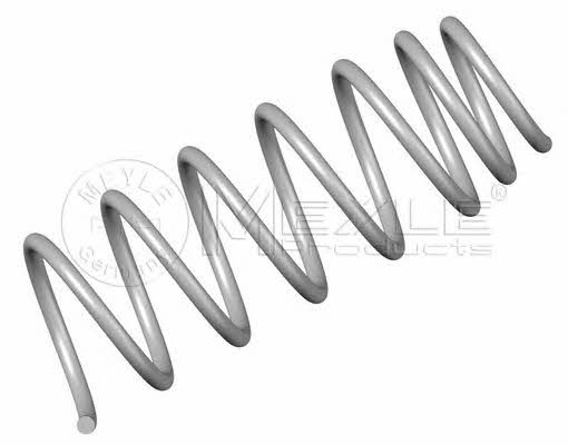 Meyle 100 639 0029 Suspension spring front 1006390029: Buy near me in Poland at 2407.PL - Good price!
