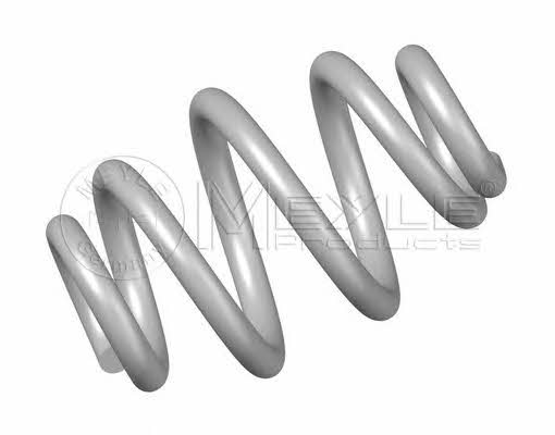 Meyle 100 739 0001 Coil Spring 1007390001: Buy near me in Poland at 2407.PL - Good price!