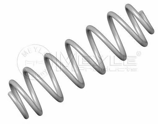 Meyle 100 739 0006 Coil Spring 1007390006: Buy near me in Poland at 2407.PL - Good price!