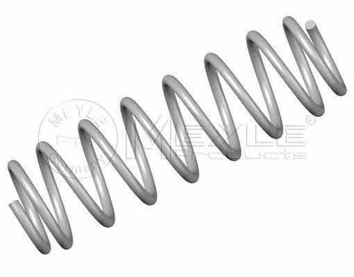Meyle 100 739 0019 Coil Spring 1007390019: Buy near me in Poland at 2407.PL - Good price!