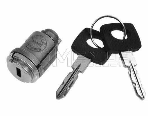 Meyle 026 460 0001 Ignition cylinder 0264600001: Buy near me in Poland at 2407.PL - Good price!
