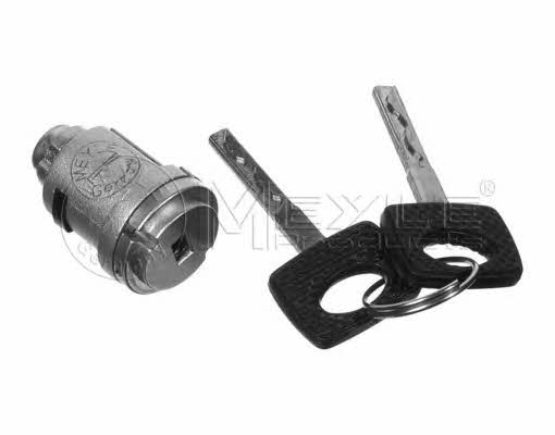 Meyle 026 460 0002 Ignition cylinder 0264600002: Buy near me in Poland at 2407.PL - Good price!