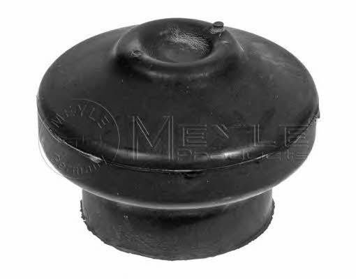 Meyle 100 199 0078 Engine mount, front 1001990078: Buy near me in Poland at 2407.PL - Good price!