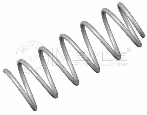 Meyle 100 041 0002 Suspension spring front 1000410002: Buy near me in Poland at 2407.PL - Good price!