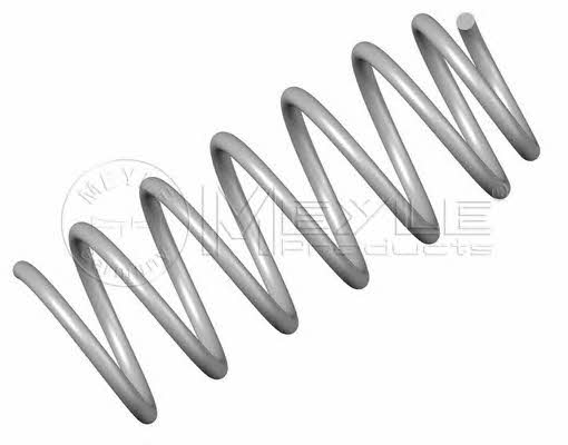 Meyle 100 041 0005 Suspension spring front 1000410005: Buy near me in Poland at 2407.PL - Good price!