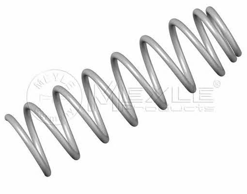 Meyle 100 051 0002 Coil Spring 1000510002: Buy near me in Poland at 2407.PL - Good price!