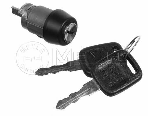 Meyle 100 905 0017 Ignition cylinder 1009050017: Buy near me in Poland at 2407.PL - Good price!