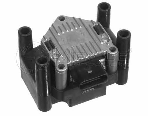 Meyle 100 905 0021 Ignition coil 1009050021: Buy near me in Poland at 2407.PL - Good price!