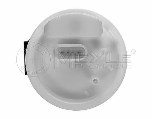 Meyle 100 919 0049 Fuel pump 1009190049: Buy near me in Poland at 2407.PL - Good price!