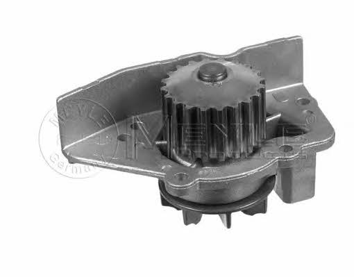 Meyle 11-13 012 0152 Water pump 11130120152: Buy near me in Poland at 2407.PL - Good price!