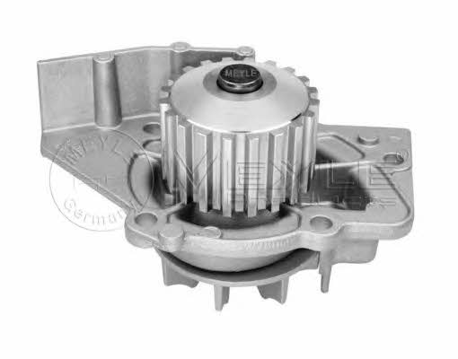 Meyle 11-13 220 0001 Water pump 11132200001: Buy near me in Poland at 2407.PL - Good price!