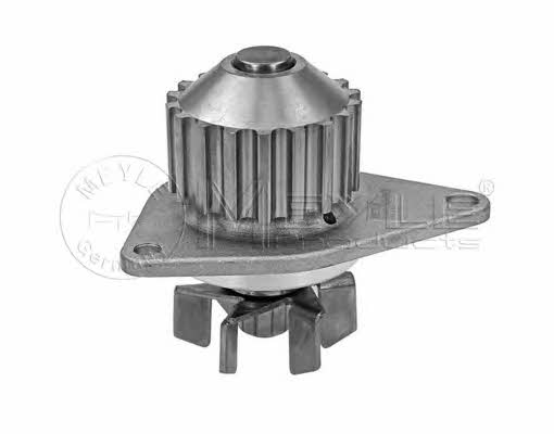 Meyle 11-13 220 0003 Water pump 11132200003: Buy near me in Poland at 2407.PL - Good price!