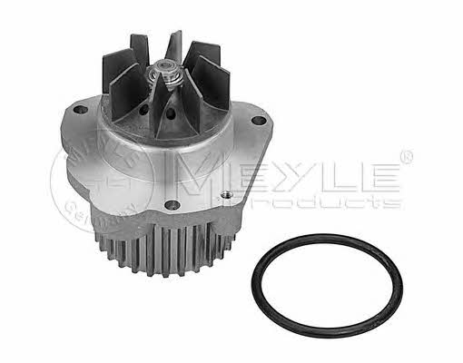 Meyle 11-13 220 0008 Water pump 11132200008: Buy near me in Poland at 2407.PL - Good price!