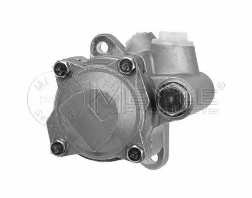 Meyle 12-34 631 0002 Hydraulic Pump, steering system 12346310002: Buy near me in Poland at 2407.PL - Good price!