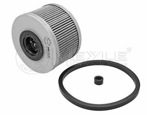 Meyle 16-14 323 0010 Fuel filter 16143230010: Buy near me in Poland at 2407.PL - Good price!