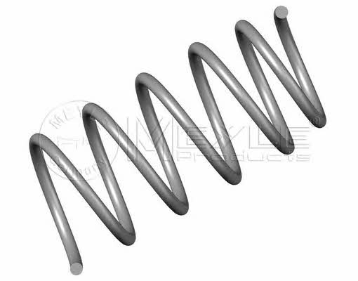 Meyle 16-14 639 0016 Suspension spring front 16146390016: Buy near me in Poland at 2407.PL - Good price!