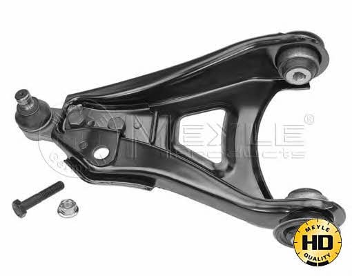  16-16 050 0008/HD Track Control Arm 16160500008HD: Buy near me in Poland at 2407.PL - Good price!