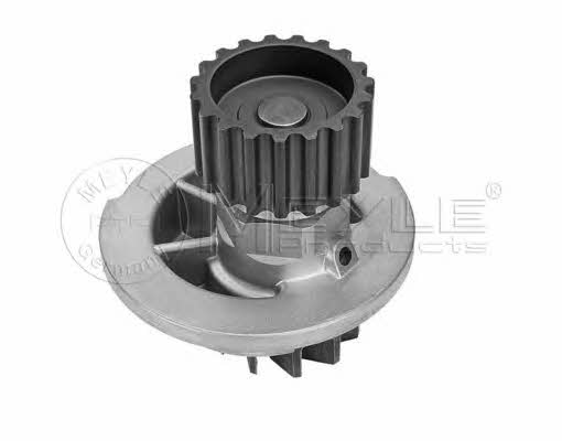 Meyle 29-13 182 0001 Water pump 29131820001: Buy near me in Poland at 2407.PL - Good price!