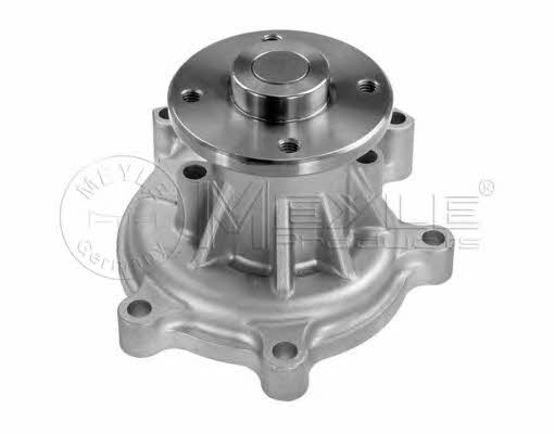 Meyle 30-13 220 0011 Water pump 30132200011: Buy near me in Poland at 2407.PL - Good price!