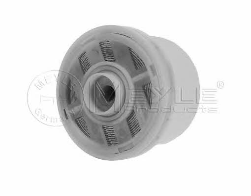 Meyle 30-14 323 0018 Fuel filter 30143230018: Buy near me at 2407.PL in Poland at an Affordable price!